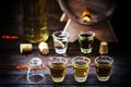 Alcoholic beverages, cachaÃÂ§a, pinga, rum and brandy. Selection of strong and hard alcoholic drinks, glasses. Vodka, brandy, Royalty Free Stock Photo