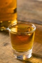 Alcoholic Brown Rum in a Shot Glass Royalty Free Stock Photo