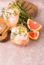 Gin bitter lemon with thyme and grapefruit. Fruit lemonade. Royalty Free Stock Photo