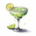 alcoholic cocktail margarita illustration