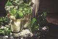 Alcoholic cocktail with vodka, mint tea, lemon juice, ice, sugar syrup and fresh peppermint, black background, selective focus Royalty Free Stock Photo
