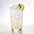 Alcoholic drink gin tonic cocktail with lemon, rosemary and ice. A fizzy gin fizz cocktail. Royalty Free Stock Photo