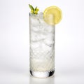 Alcoholic drink gin tonic cocktail with lemon, rosemary and ice. Royalty Free Stock Photo