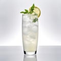 Alcoholic drink gin tonic cocktail with lemon, rosemary and ice. A fizzy gin fizz cocktail. Royalty Free Stock Photo