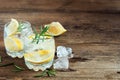 Alcoholic drink with lemon, rosemary Royalty Free Stock Photo