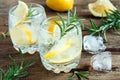Alcoholic drink with lemon, rosemary Royalty Free Stock Photo
