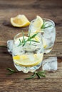 Alcoholic drink with lemon, rosemary Royalty Free Stock Photo