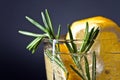 Alcoholic drink with lemon and rosemary Royalty Free Stock Photo