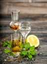 Alcoholic Drinks ice lemon mint leaves Food beverages Royalty Free Stock Photo