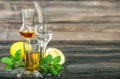 Alcoholic drinks ice lemon mint leaves whiskey gin rum vodka Royalty Free Stock Photo