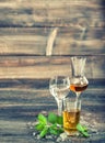 Alcoholic drinks ice mint leaves vintage style Royalty Free Stock Photo