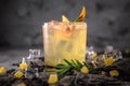 Alcoholic or non-alcoholic cocktail with lemon citrus and ginger with added liqueur, vodka, champagne or martini. Royalty Free Stock Photo