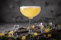 Alcoholic or non-alcoholic cocktail with lemon citrus and ginger with added liqueur, vodka, champagne or martini. Royalty Free Stock Photo