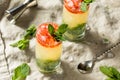 Alcoholic Queens Park Swizzle Cocktail with Rum Royalty Free Stock Photo
