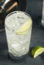Alcoholic Vodka Tonic Highball Cocktail
