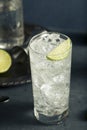 Alcoholic Vodka Tonic Highball Cocktail