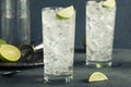 Alcoholic Vodka Tonic Highball Cocktail