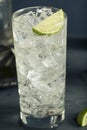 Alcoholic Vodka Tonic Highball Cocktail