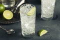 Alcoholic Vodka Tonic Highball Cocktail