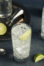 Alcoholic Vodka Tonic Highball Cocktail