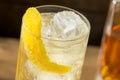 Alcoholic Whiskey and Soda Highball