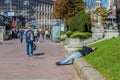 Alcoholism in, drunk man lying on the street.Ukraine. Kiev 06.11.2018 Royalty Free Stock Photo