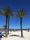 Alcudia beach