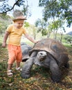 Aldabra giant tortoise and child Royalty Free Stock Photo