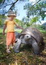 Aldabra giant tortoise and child Royalty Free Stock Photo