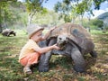 Aldabra giant tortoise and child Royalty Free Stock Photo