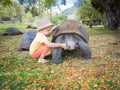 Aldabra giant tortoise and child Royalty Free Stock Photo