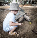 Aldabra giant tortoise feeding Royalty Free Stock Photo