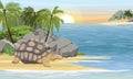 Aldabra giant tortoise on the shores of a tropical island with white sand and palm trees. Aldabrachelys gigantea. Animal of the is