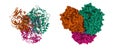 Structure of human mitochondrial aldehyde dehydrogenase complexed with NADH and Mg2+ Royalty Free Stock Photo