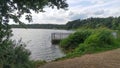 Alder branches bent over the water of the lake. There are reeds in the water and a wave on the water. A concrete pier with a metal Royalty Free Stock Photo