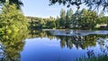 Alder branches lean over the lake water, and the trees and blue sky are reflected in it. A forest stands on the grassy shore. Alga Royalty Free Stock Photo