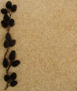 Alder cone decorated brown cork board