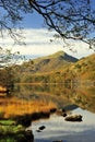 Alder framed, Moel Hebog from Llyn Gynant shore Royalty Free Stock Photo