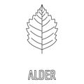 Alder leaf icon, outline style.