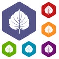 Alder leaf icons set hexagon