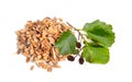 Alder wood chips with plant isolated on white background