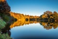 Alder Wood reflected in River Tyne