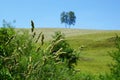 Aldingen hill in germany