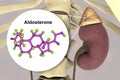 Aldosterone hormone produced by adrenal gland