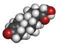 Aldosterone mineralocorticoid hormone, produced by the adrenal gland. Atoms are represented as spheres with conventional color.