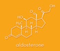 Aldosterone mineralocorticoid hormone, produced by the adrenal gland. Skeletal formula.