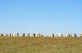 Ale`s stones in south of Sweden