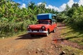 Alejandro de Humboldt National Park near Baracoa, Cuba Royalty Free Stock Photo