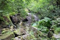 Alekovi waterfalls are a water cascade located on the river Skakavitsa Vitosha mountain in Bulgaria. Upper large AlekoÃ¢â¬â¢s Royalty Free Stock Photo