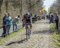 Aleksejs Saramotins in The Forest of Arenberg- Paris Roubaix 2015